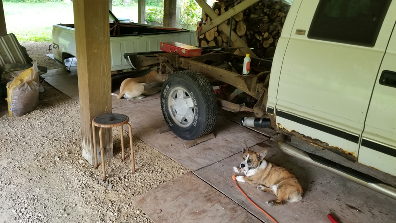 My supervisors hard at work.